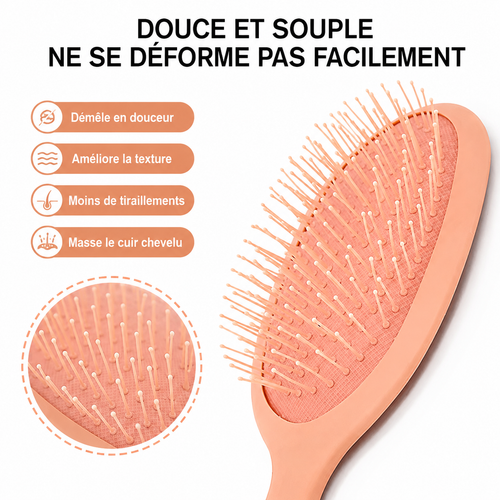 Brosse Anti-Casse et Massage du Cuir Chevelu
